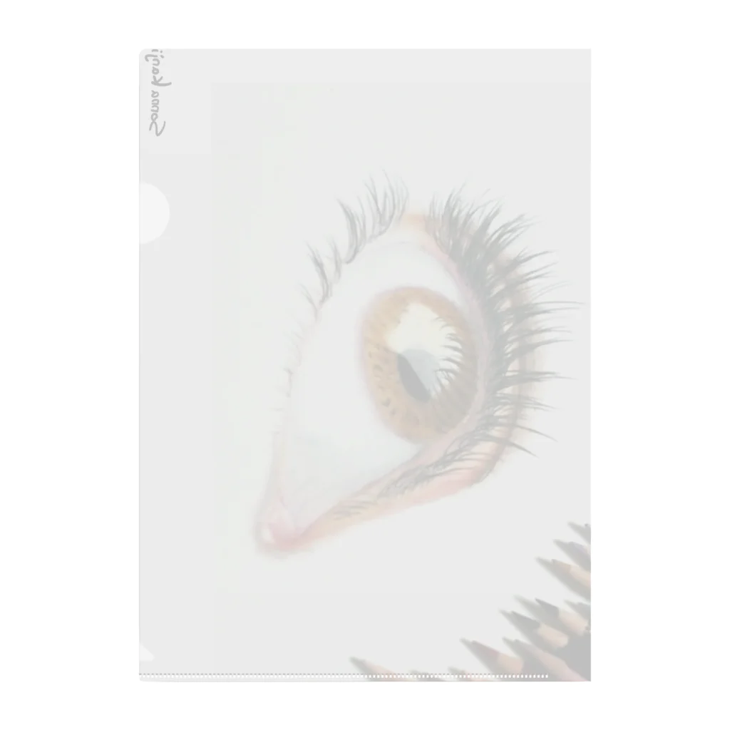 Sonna Kanjiのグッズの瞳 Clear File Folder