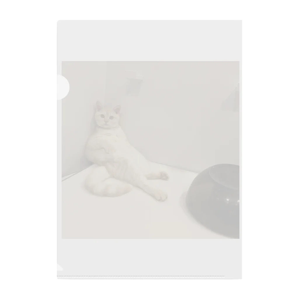 mekuso_necoのくつろぎ猫 Clear File Folder