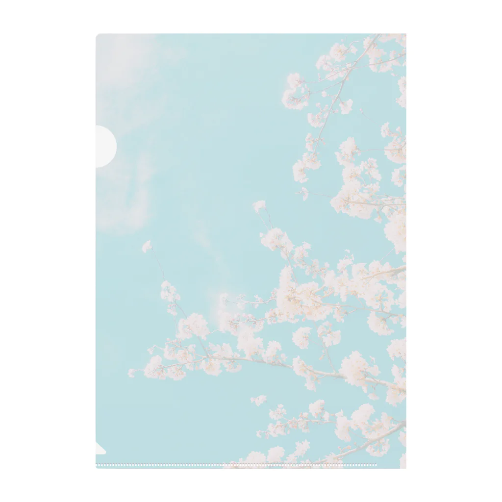 青空市場の青空と桜 Clear File Folder