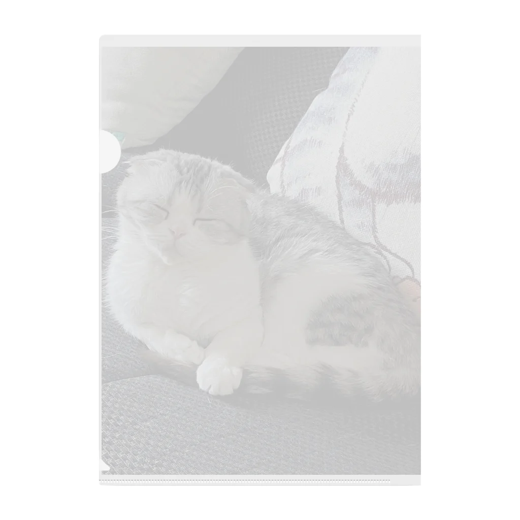 No Cats No LifeのMee2 Clear File Folder