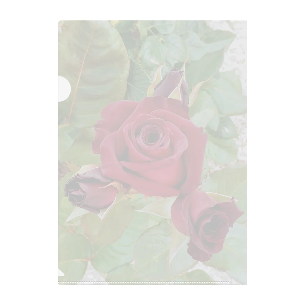 猫のhananyanの薔薇が咲いた～薔薇が咲いた～真っ赤な薔薇が～♩ Clear File Folder