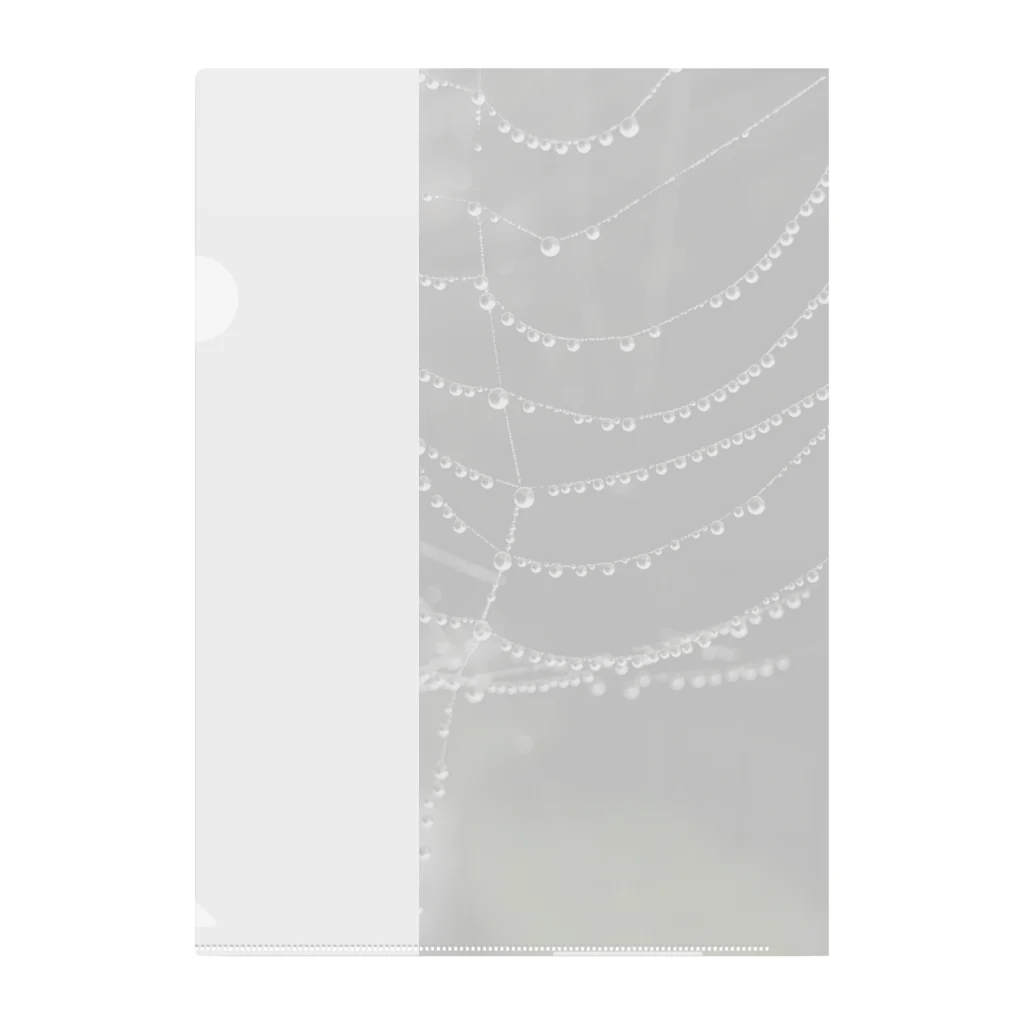 Simprick26のspiderweb drop Clear File Folder