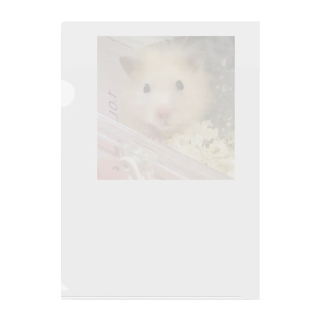 わたぼこりプ•リンのキンクマぷりんくん Clear File Folder