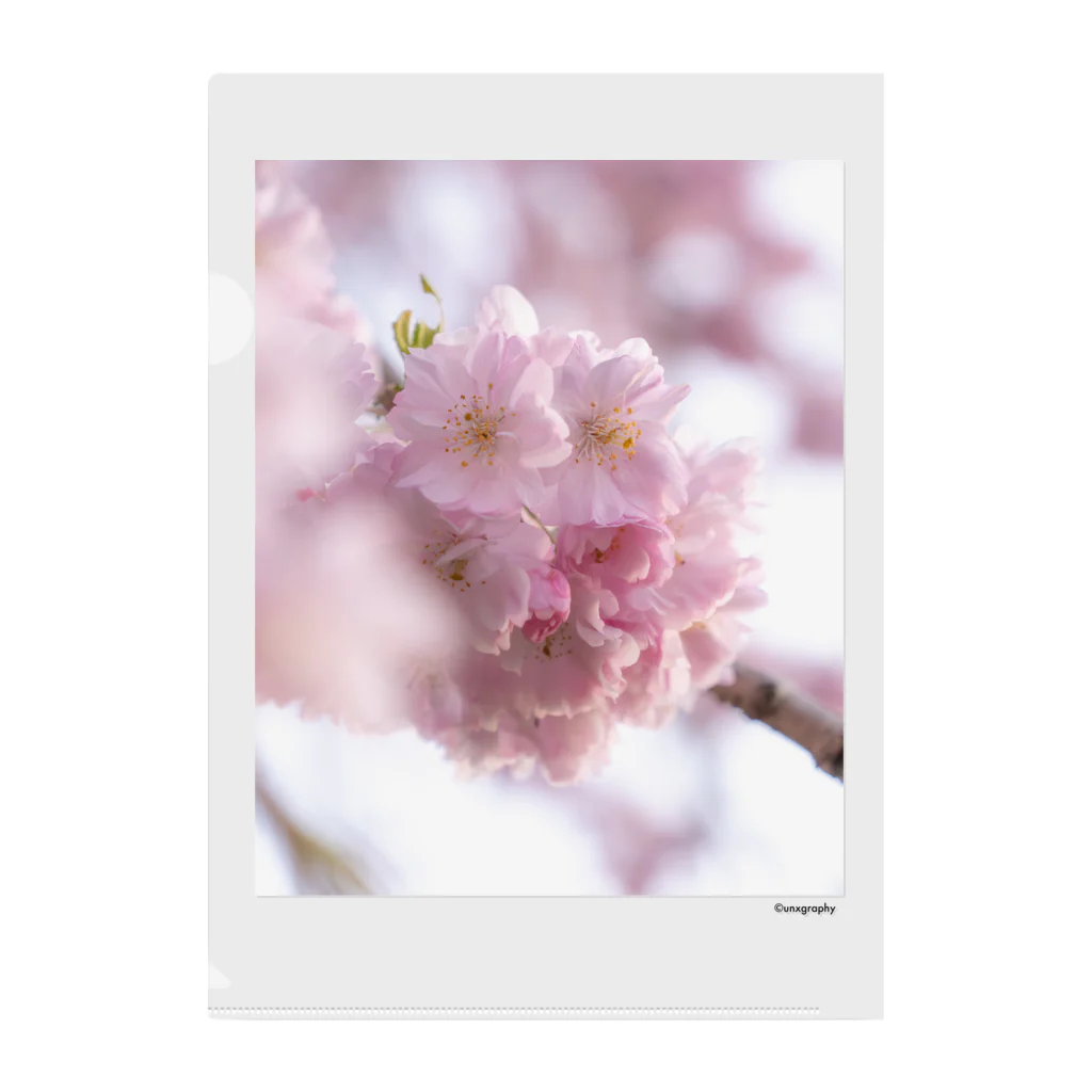 unxgraphyのSAKURA 1 Clear File Folder