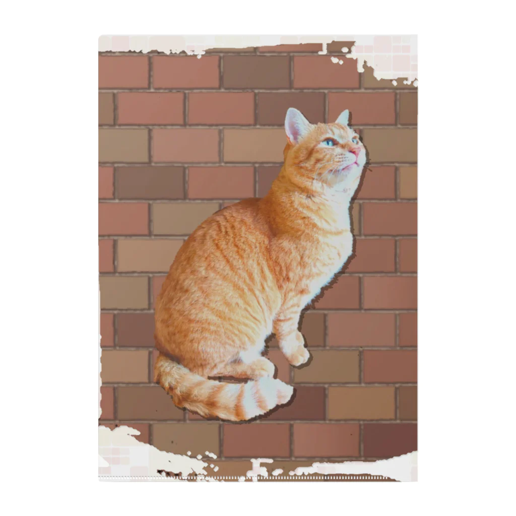 ともの茶トラにゃんこ Gingercat 文字入り Clear File Folder