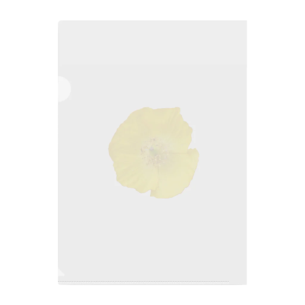 umameshiのポピーの花 / poppy flower Clear File Folder