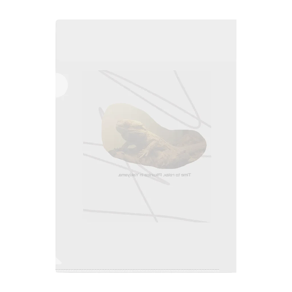 ふれあい動物園ピクニカ共和国の爬虫類ラブグッズ Clear File Folder