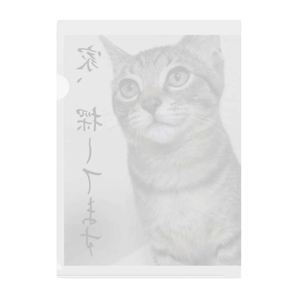 nekoinuitachi-kaori保護猫 TNRなどのおうちさがしねこ Clear File Folder