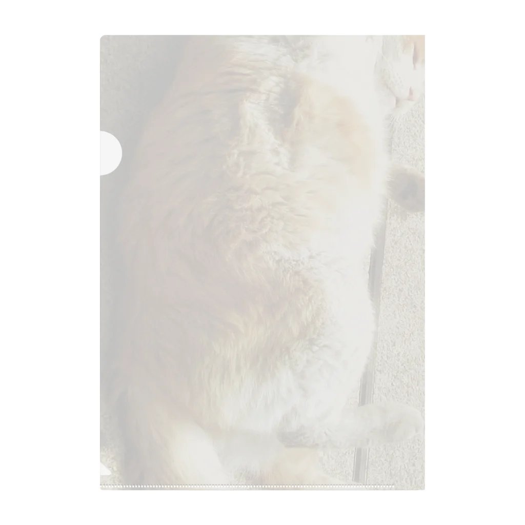 電気羊研究所science&GAMEのころころ猫 Clear File Folder