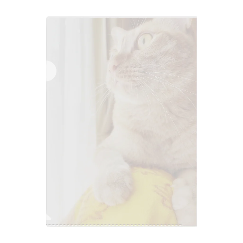 yonuの猫のポムちゃん(鼻垂れver) クリアファイル