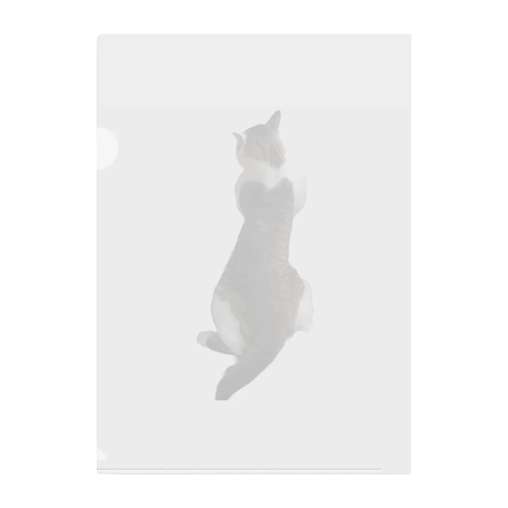 26giのぺたんねこ Clear File Folder