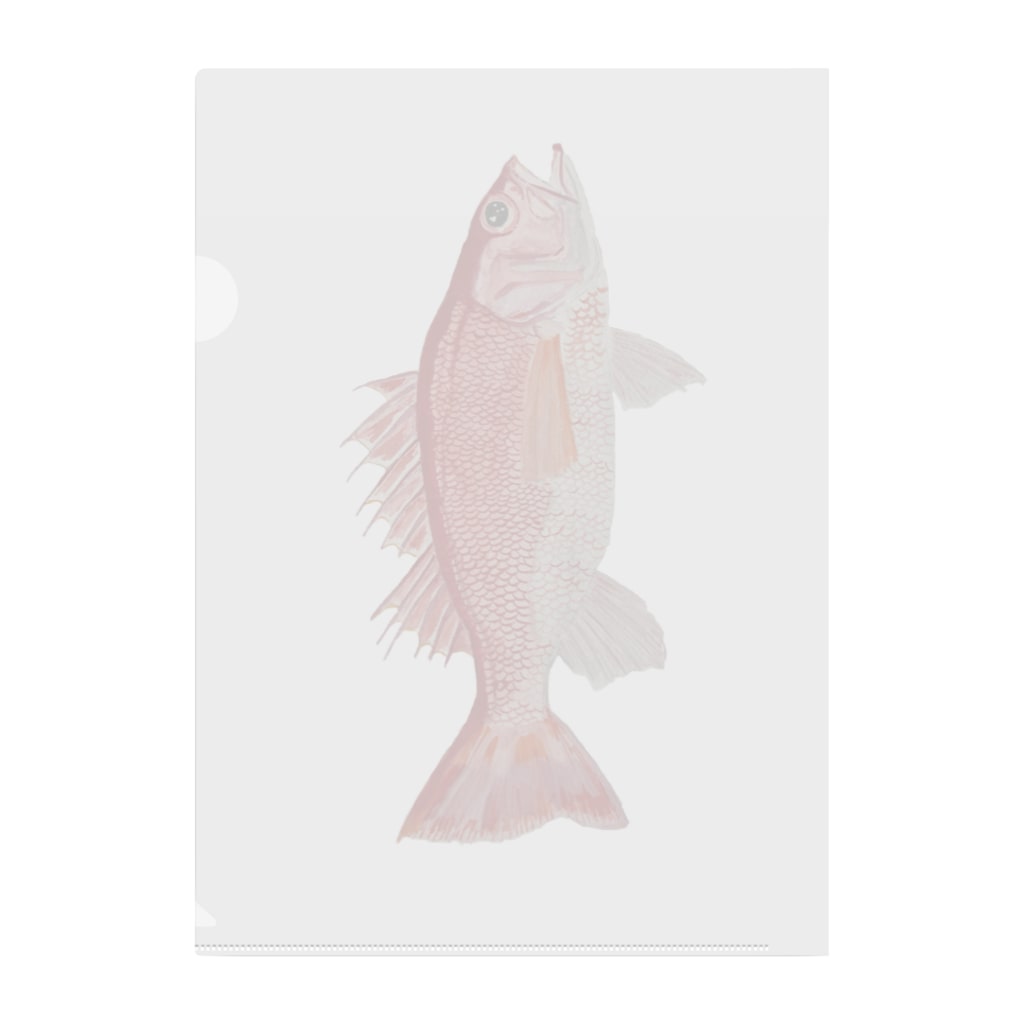 Coshi-Mild-Wildのノドグロ様　じゃっど‼️ Clear File Folder