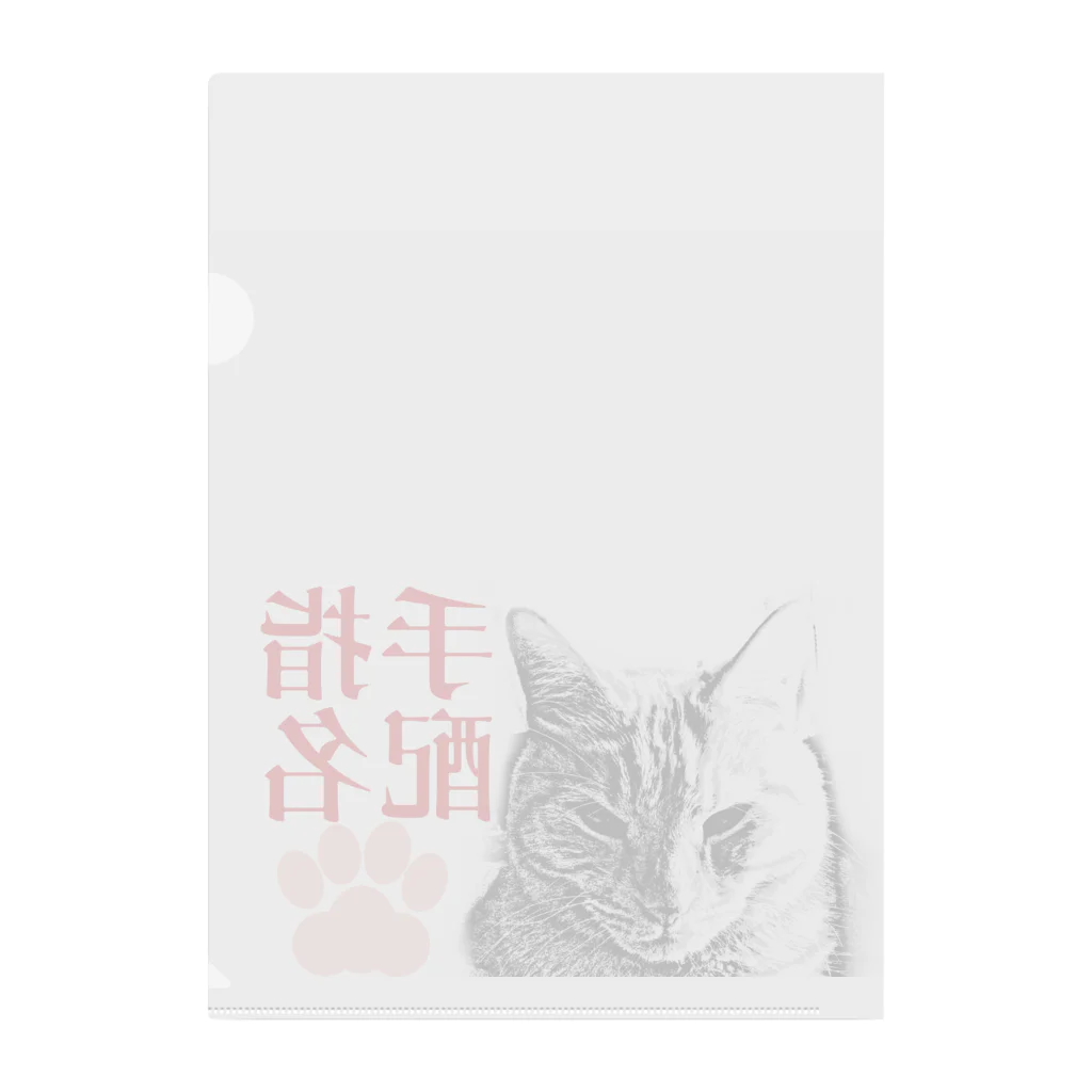 .JUICY-SHOP. | JOYFULの指名手配 | JOYFUL x JOYFUL DESIGNS 0aC Clear File Folder