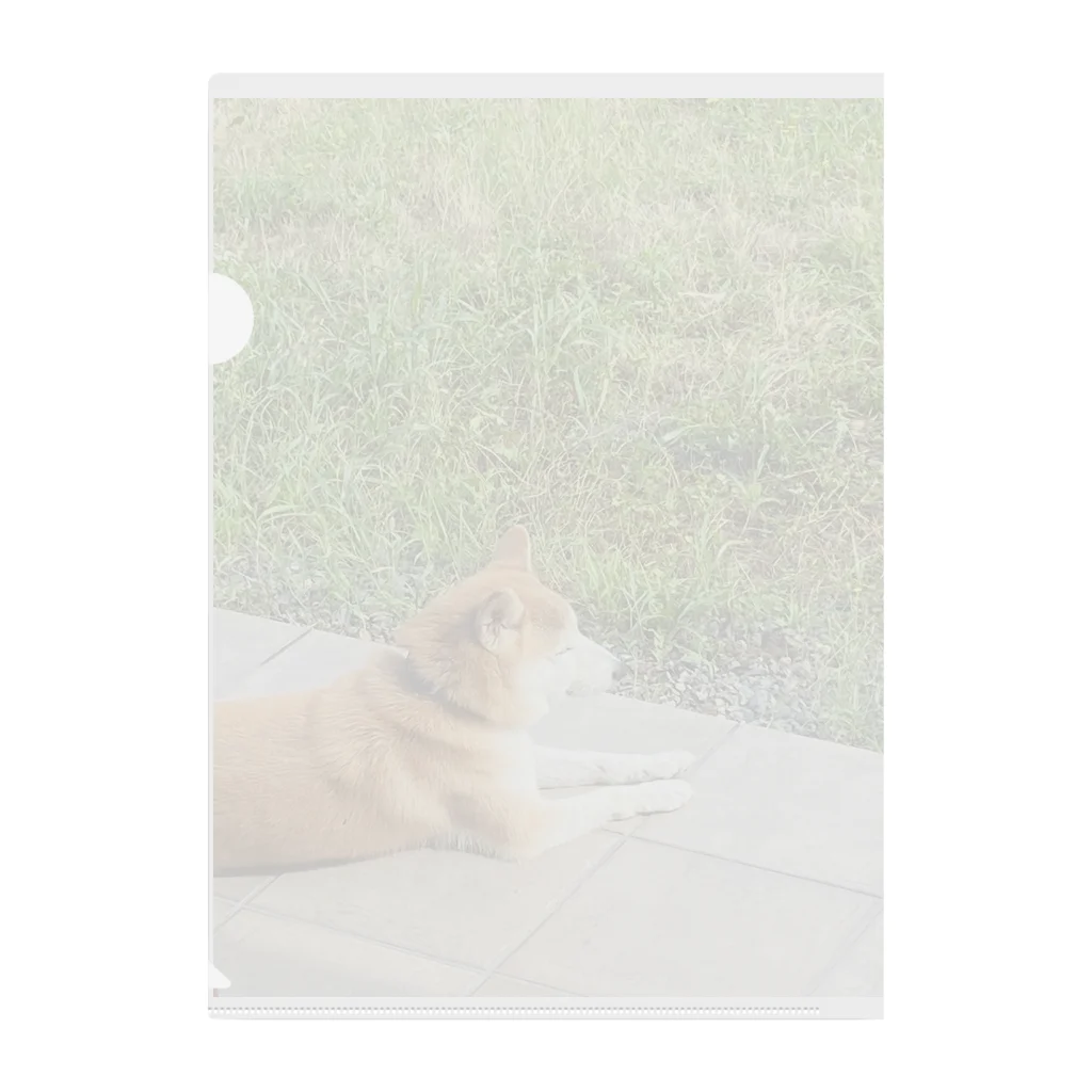 RUNARUNA_SHOPの柴犬わんこ Clear File Folder