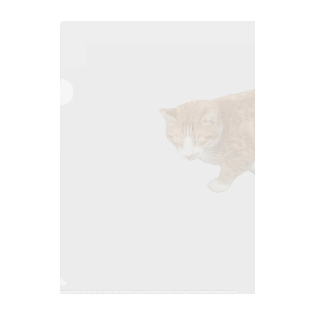 高橋のひょっこり猫 クリアファイル