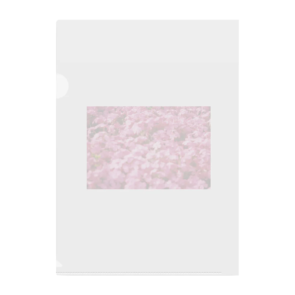 てくてく写真館の芝桜 Clear File Folder
