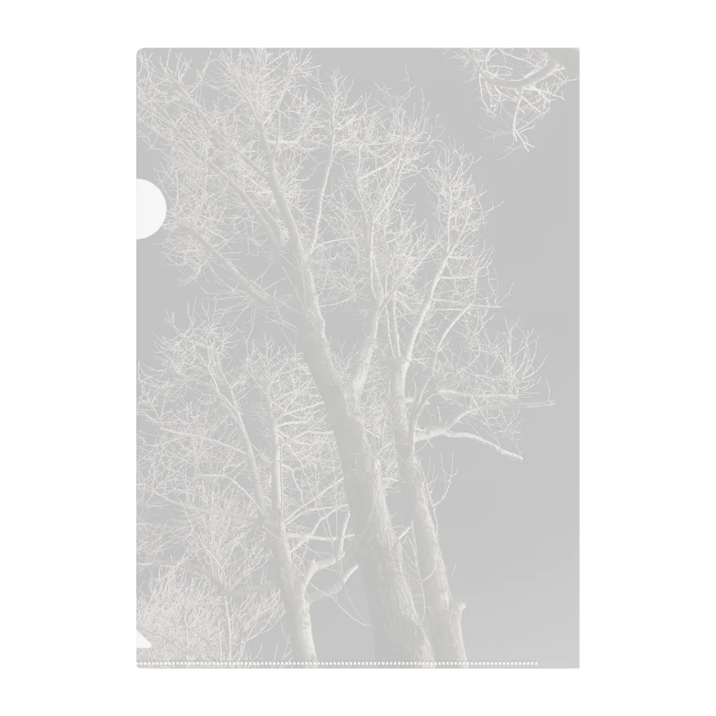 空屋　sorayakusakaの202001121944000　夜の樹木 Clear File Folder