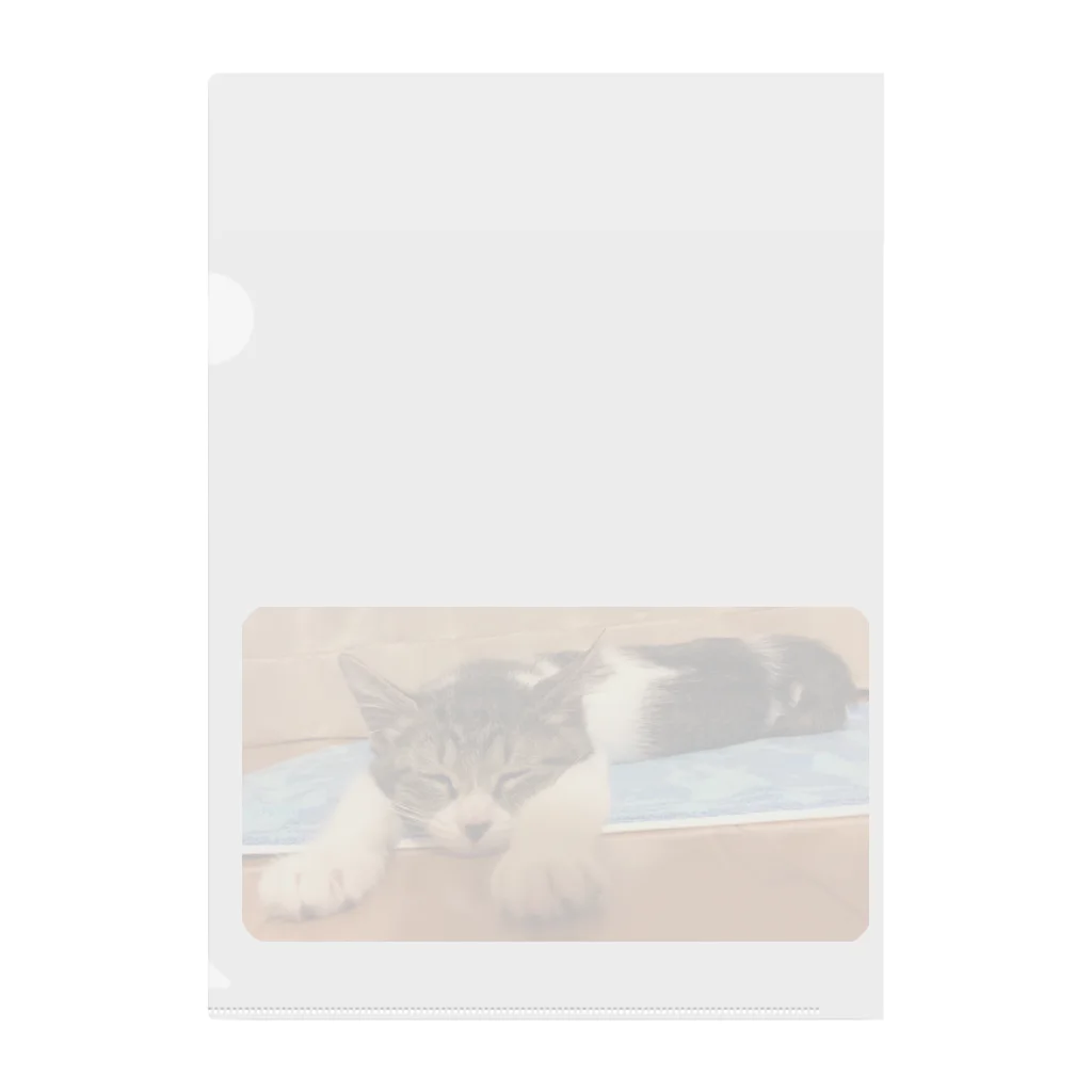 南の島のにゃんこの飛べるポーズで眠るパル～南の島のにゃんこ～ Clear File Folder