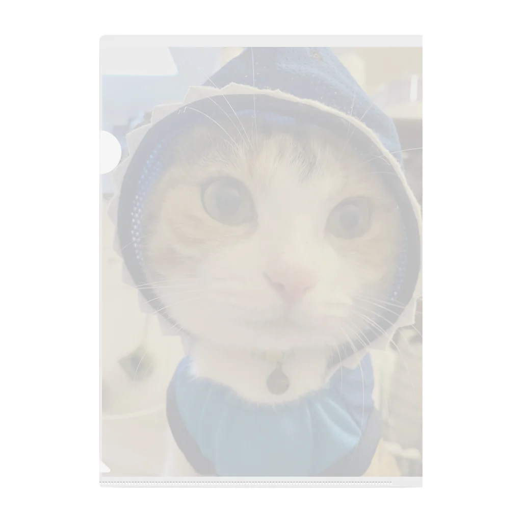 monekosideの保護猫まくらちゃんコス！ クリアファイル