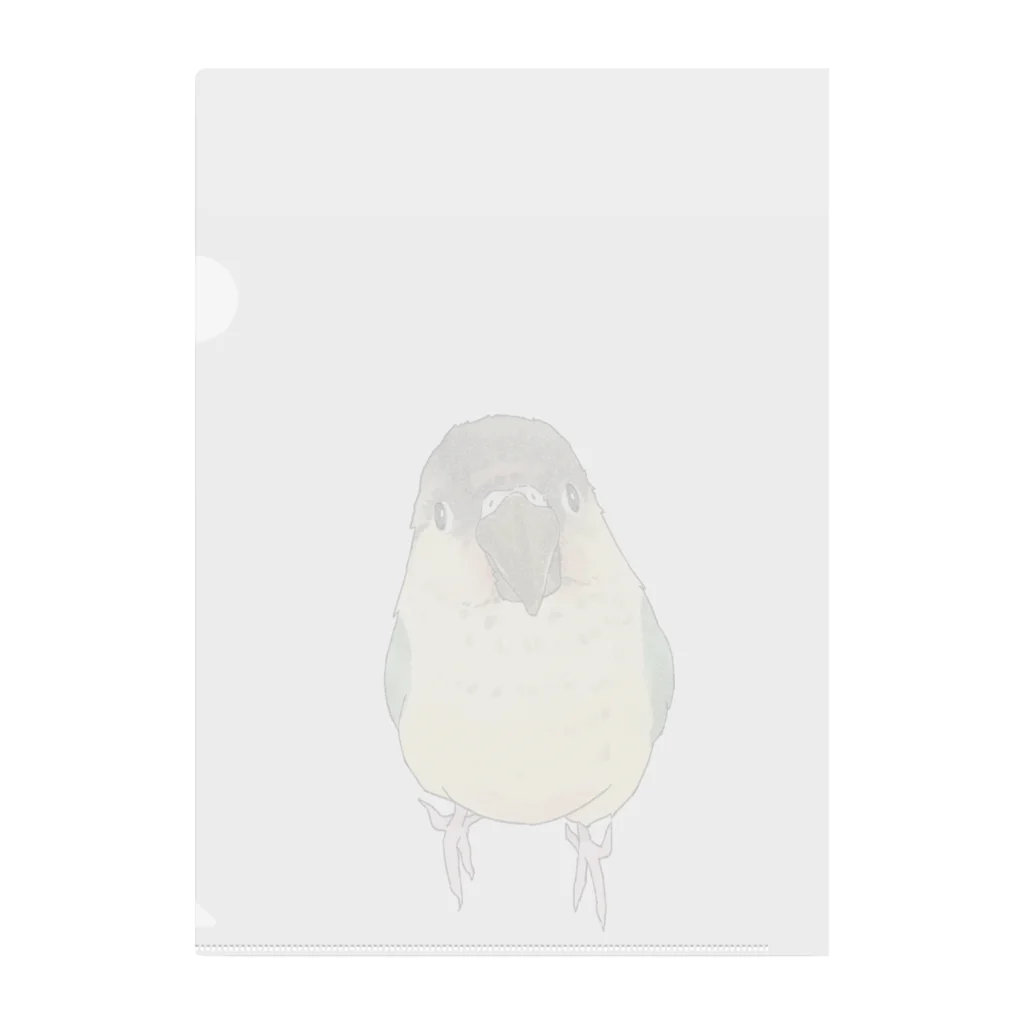 まめるりはことりの可愛いウロコメキシコインコちゃん【まめるりはことり】 Clear File Folder