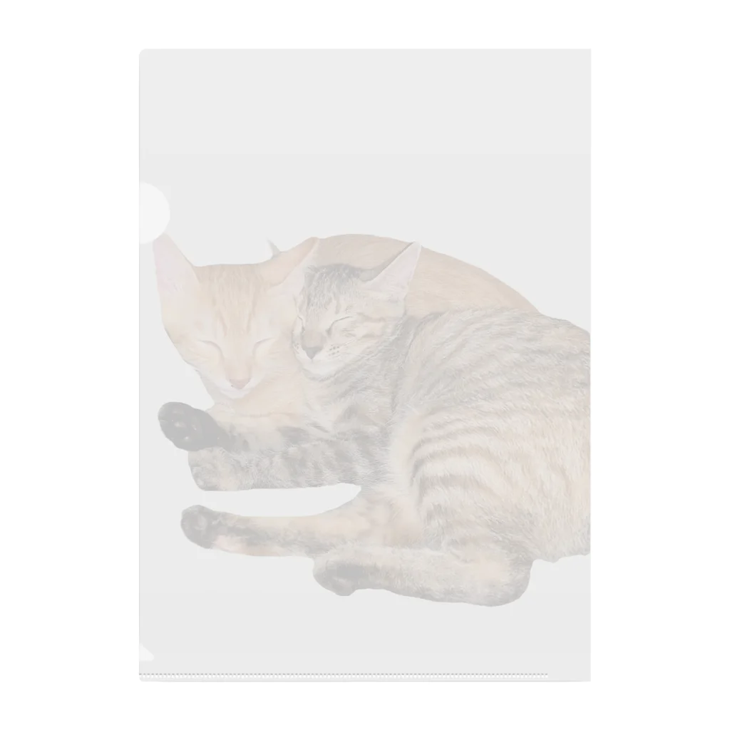 ChoboTora24の眠り猫ちゃん達 Clear File Folder