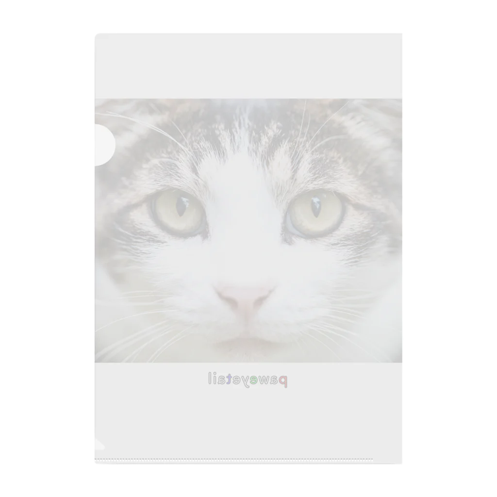 paweyetailの普通のネコ クリアファイル