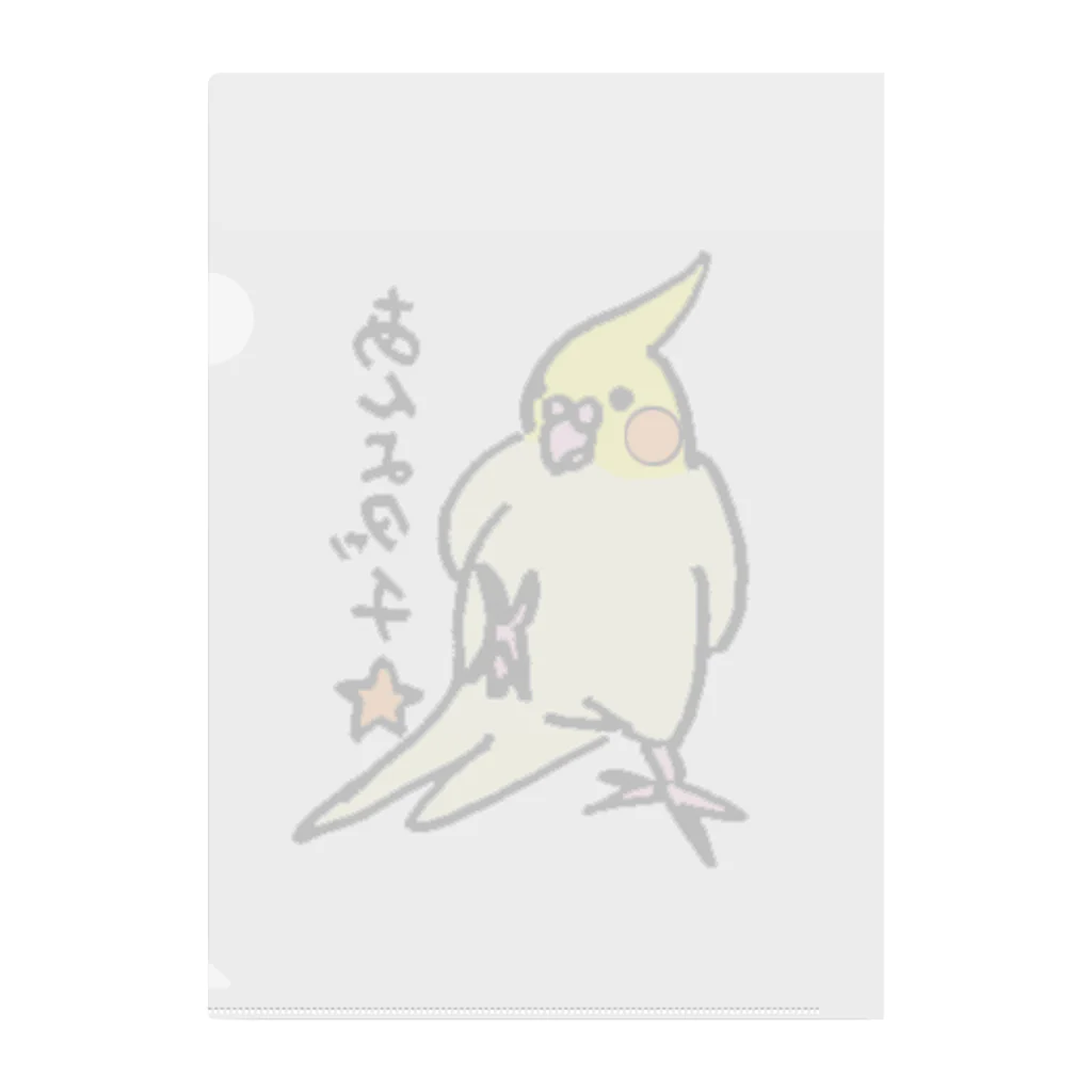 すなねことぽいんちょのオカメインコ　ポインチョ　あんよタッチ　 Clear File Folder