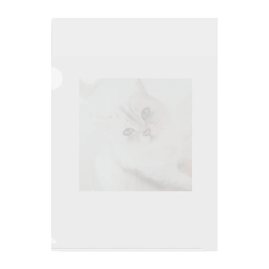 kawaiiの猫 Clear File Folder