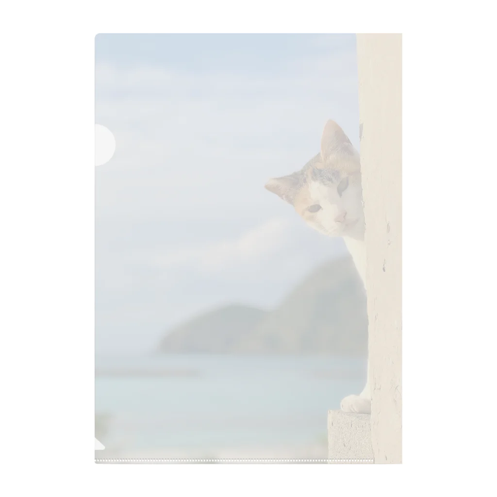 ちょろ母ねこ写真グッズの阿嘉島ねこ2 Clear File Folder