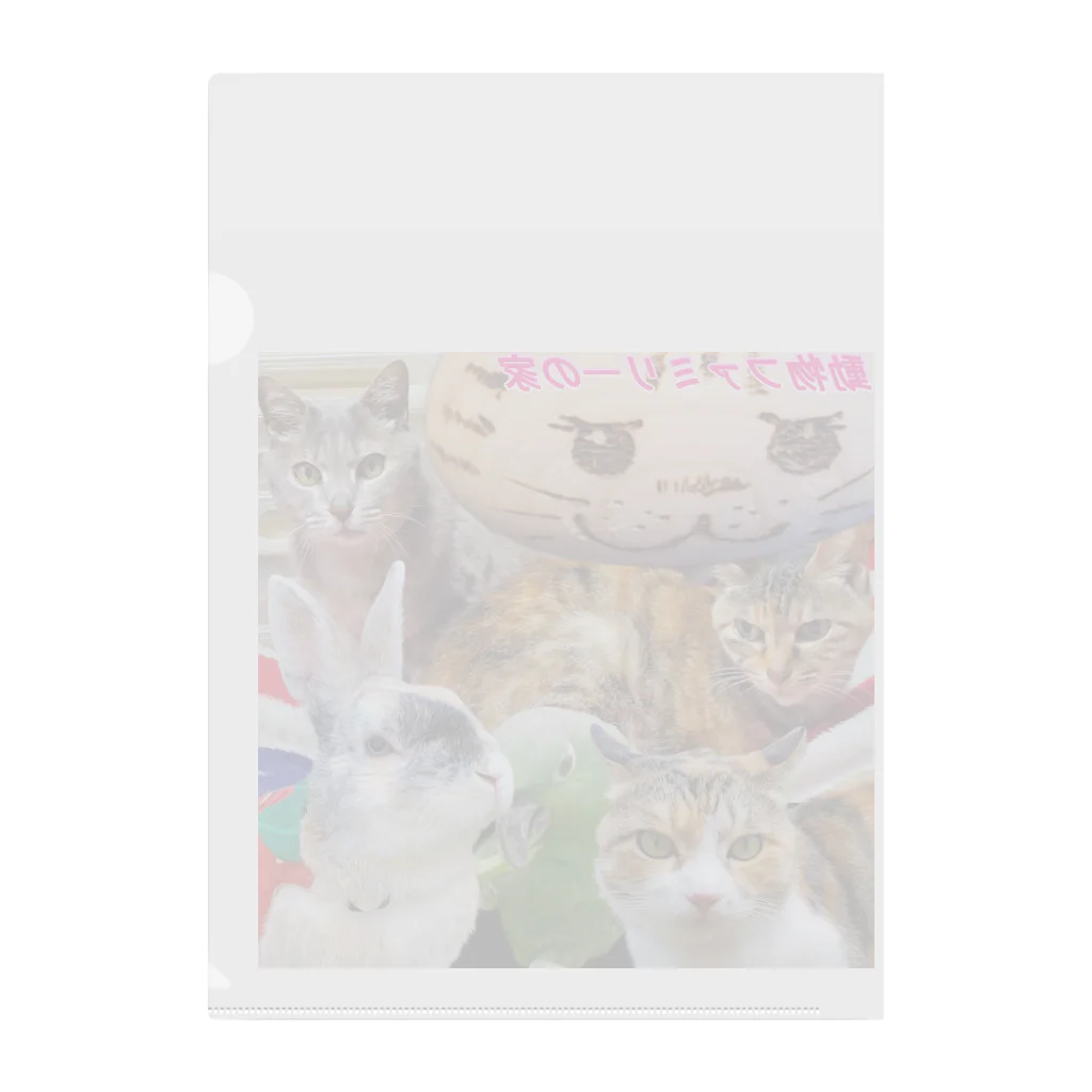 うさぎのマルチの動物ファミリーの家グッズ Clear File Folder