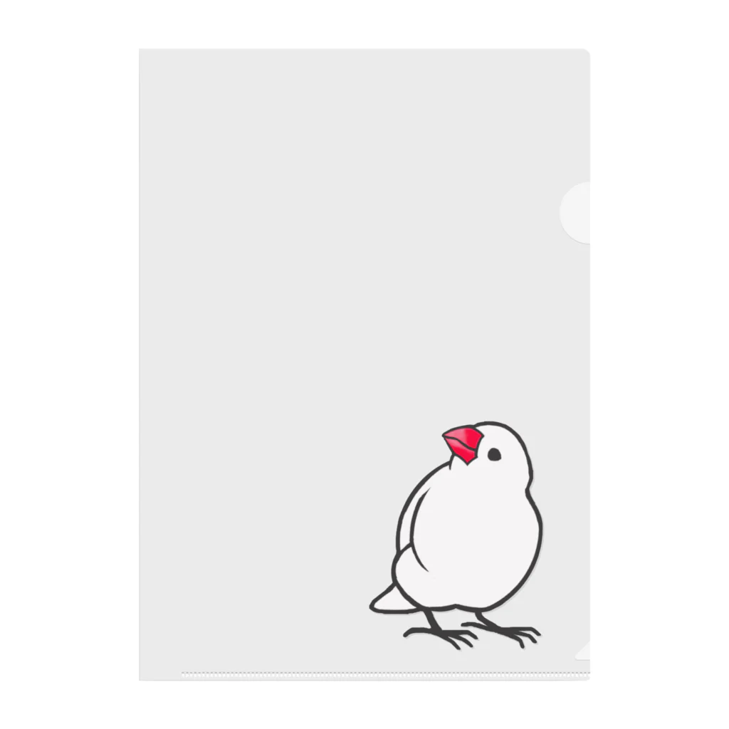 PERIDOTの見上げる白文鳥 クリアファイル