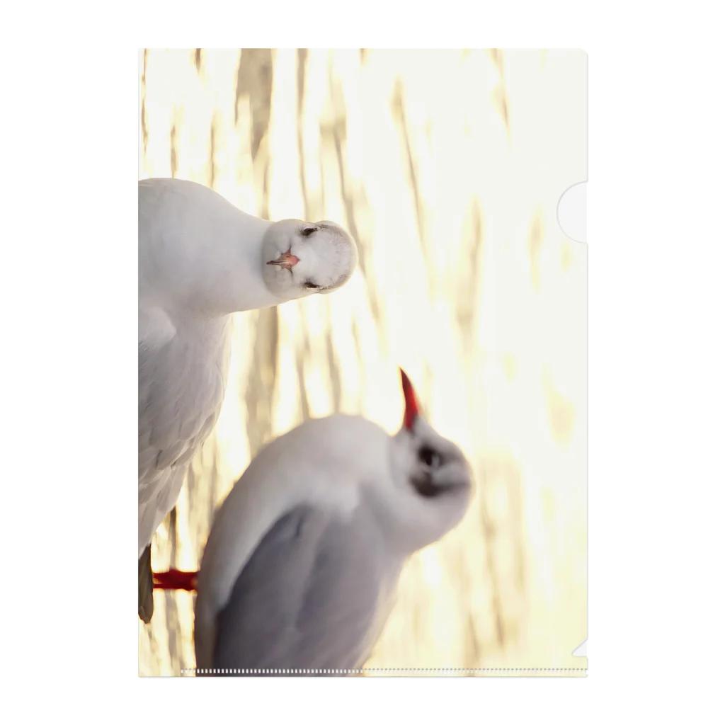 Petal N' Featherの呼びました？ Clear File Folder