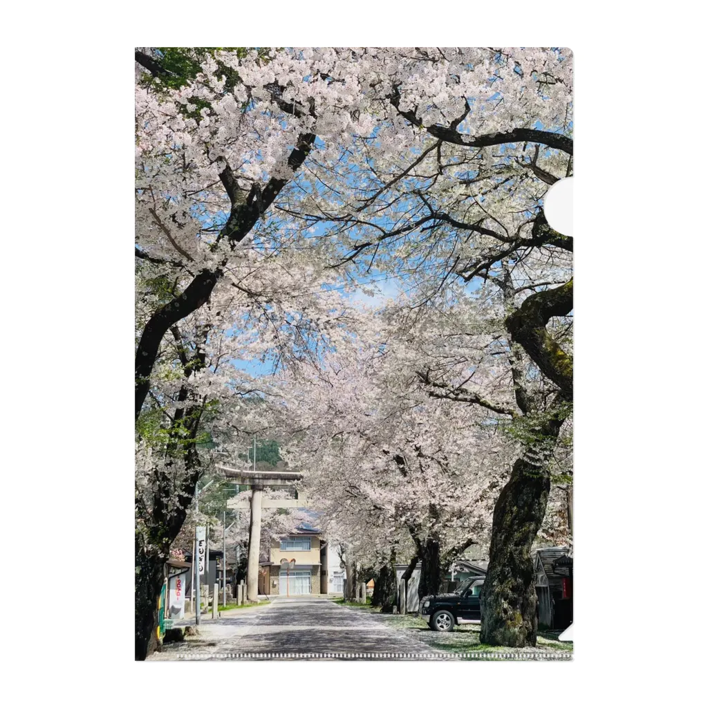 美馨の桜のトンネル クリアファイル