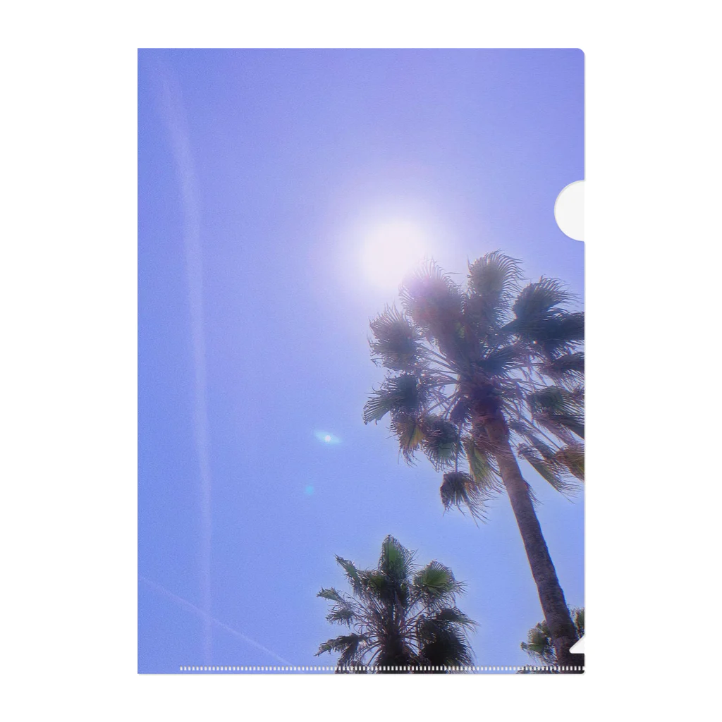 ラベンダーショップの椰子の木と太陽 클리어파일