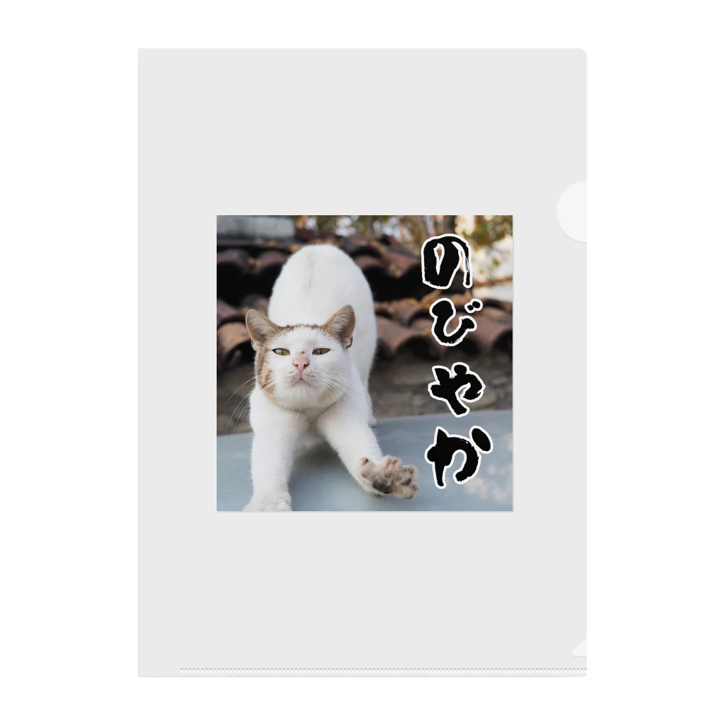 kamashowののびやかな猫 Clear File Folder