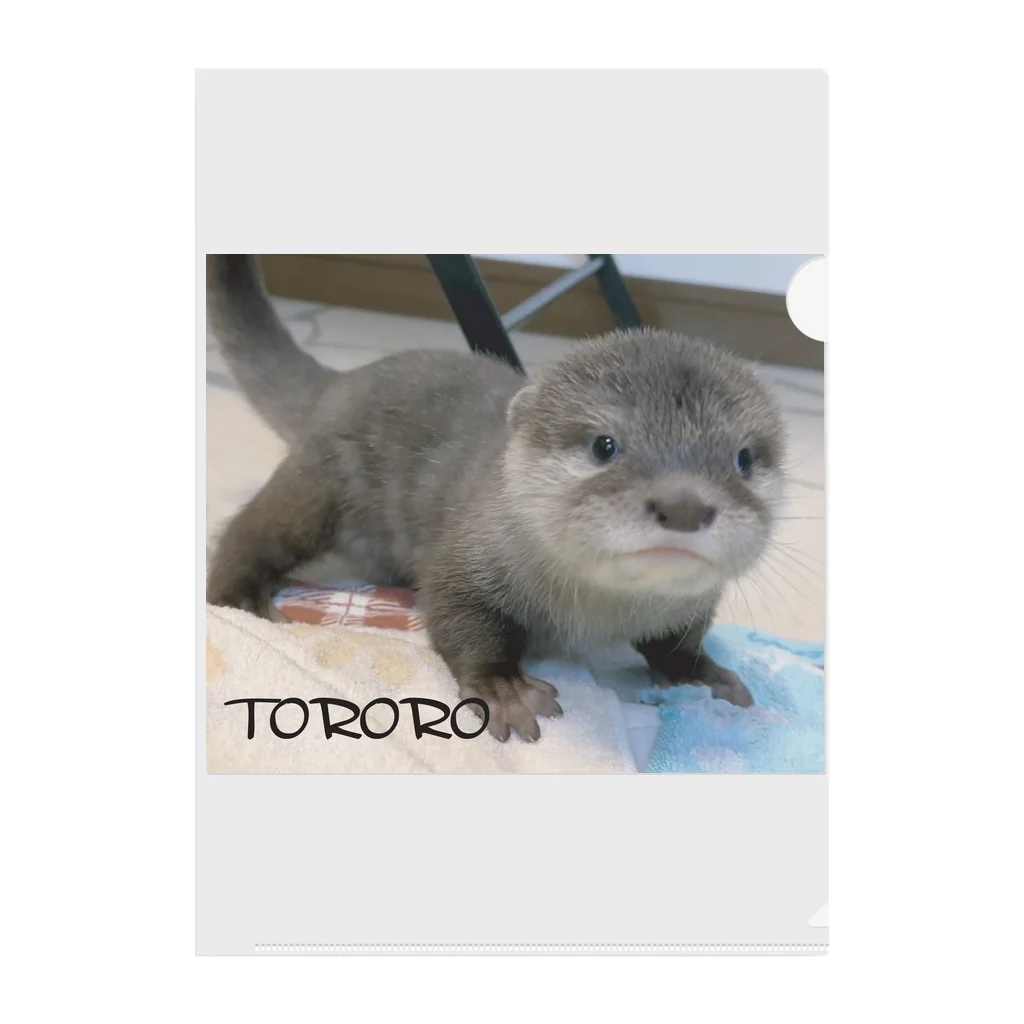 LOUTRE～カワウソと過ごす時間～の赤ちゃんカワウソとろろ クリアファイル