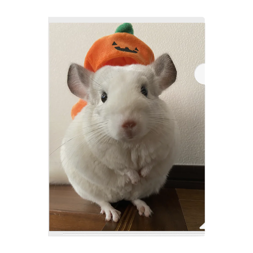 可愛きもの屋さんのハロウィンチンチラ クリアファイル