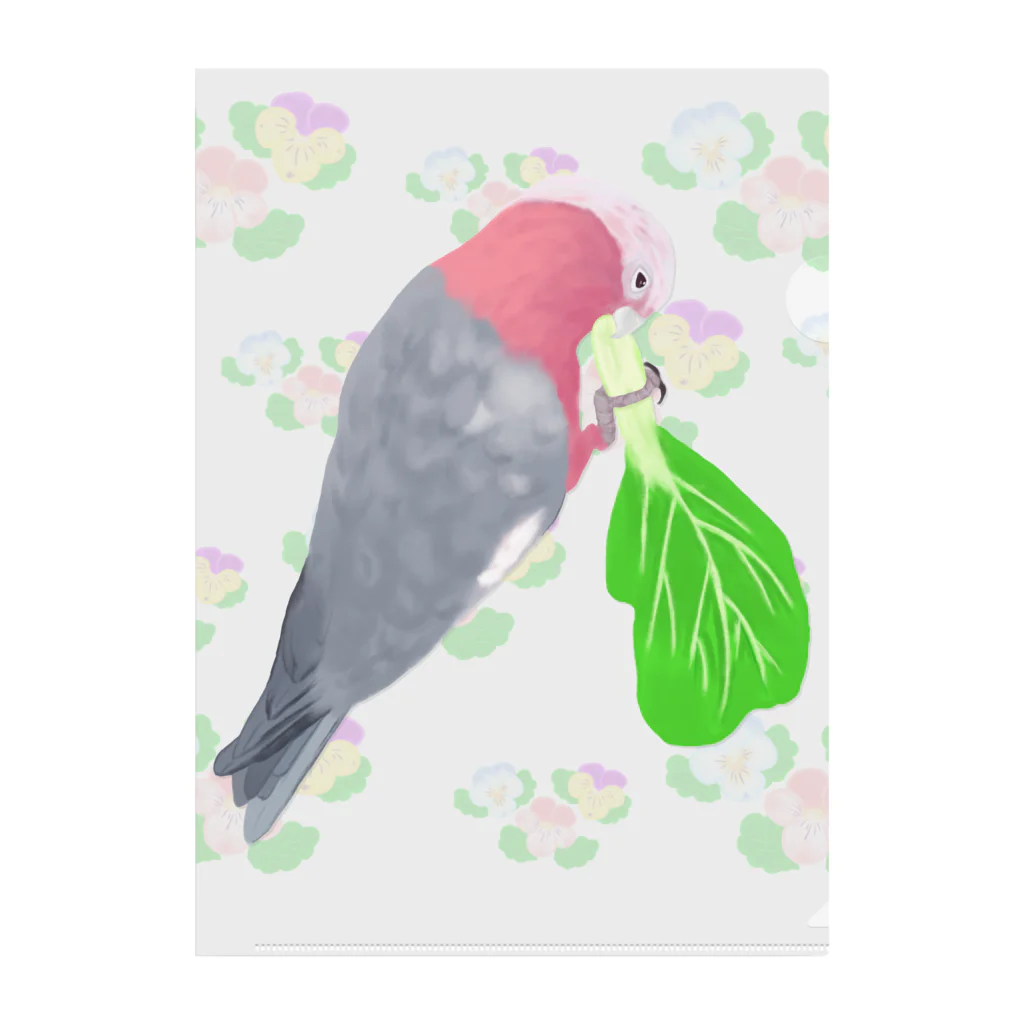 Lily bird（リリーバード）のチンゲン菜食べるモモイロインコ Clear File Folder