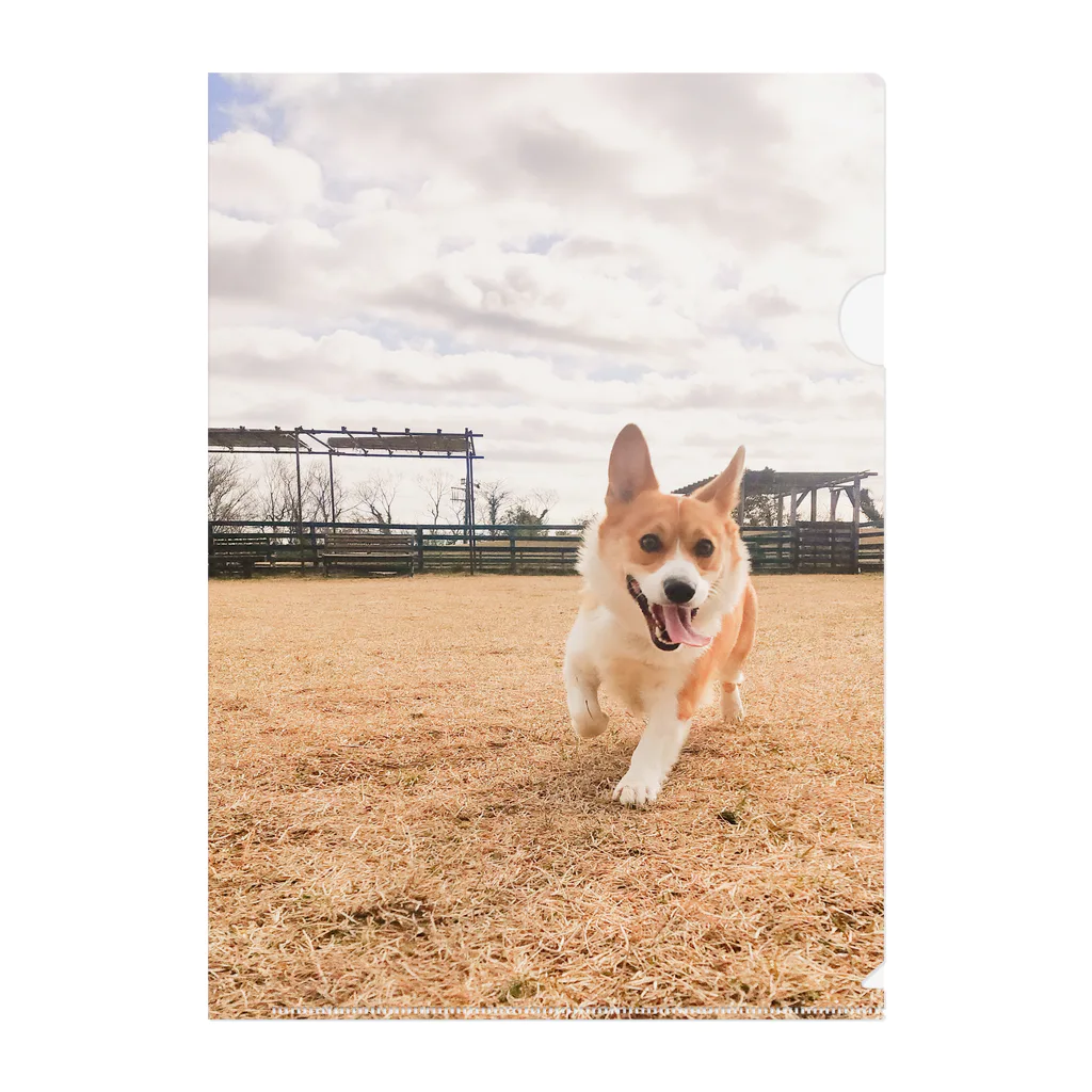 脚長コーギーの脚長コーギーむぎくん Clear File Folder