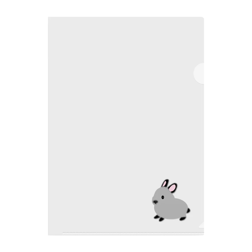 whiterabbit2010のうさぎ　サイアミーズスモークパール Clear File Folder