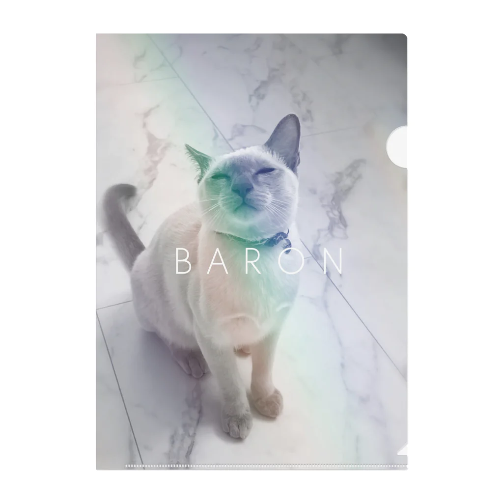 BARONのBARON rainbow n/100 Clear File Folder