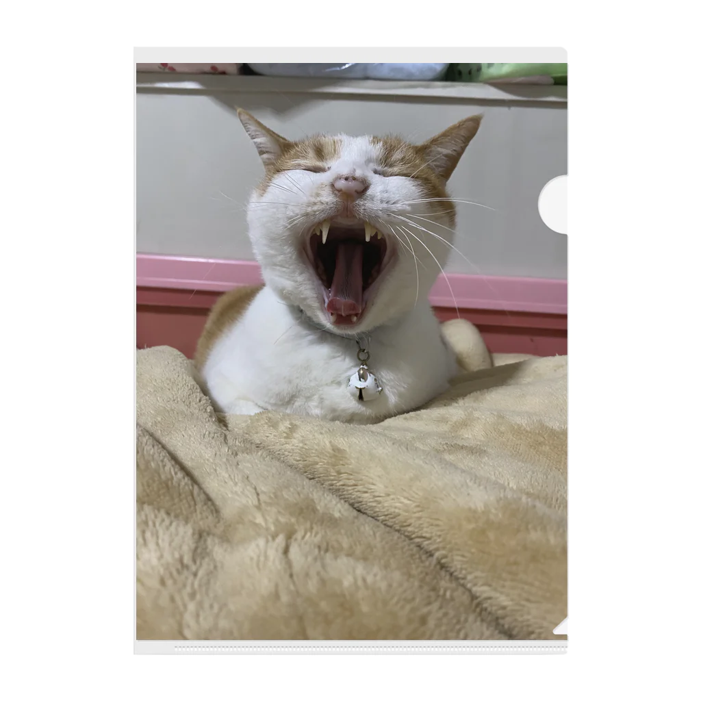 ツキコヨウのあくび猫 Clear File Folder