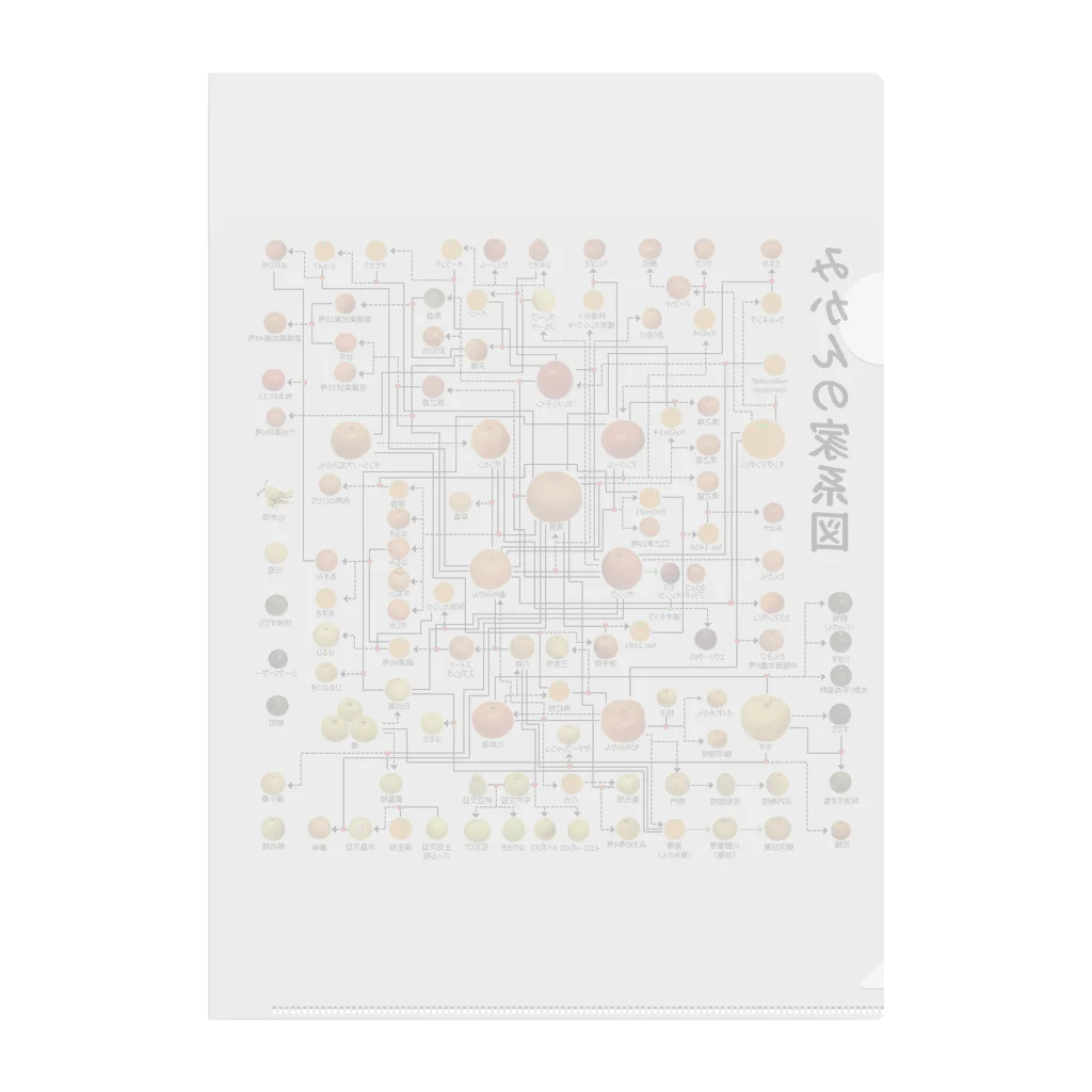 みかんノートのみかんの家系図 Clear File Folder