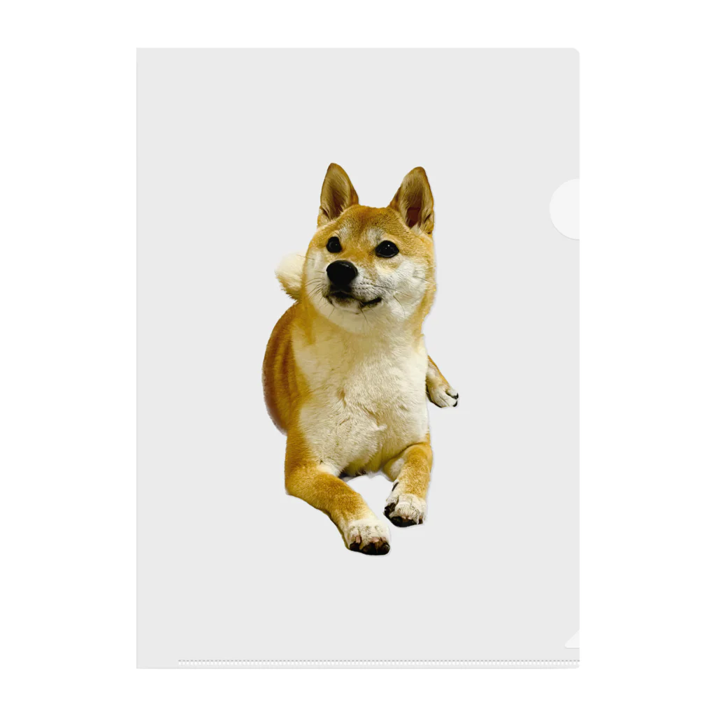 柴犬おかゆのグッズ販売店の柴犬おかゆ Clear File Folder