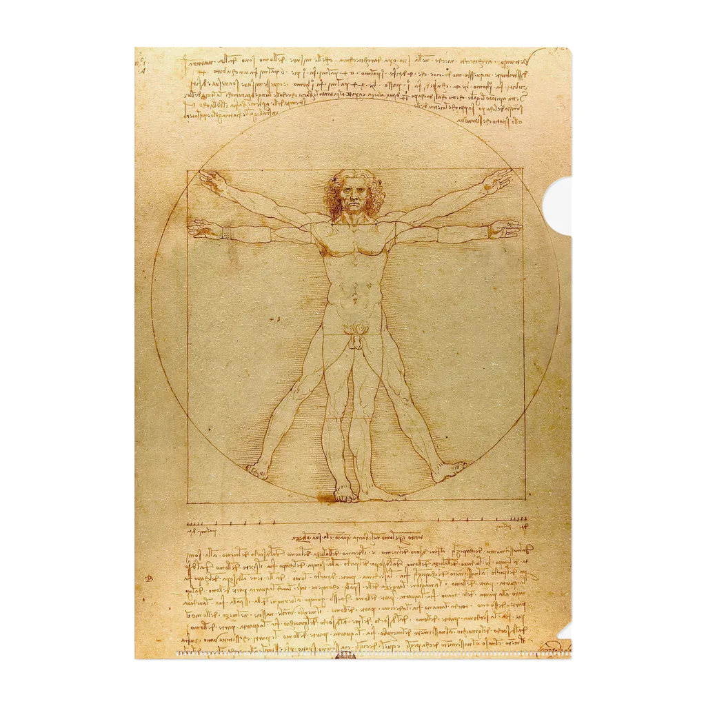 世界美術商店のウィトルウィウス的人体図 / Vitruvian Man クリアファイル