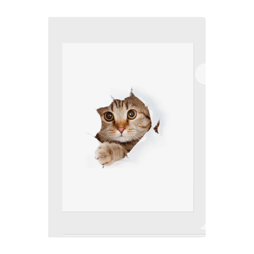 ただの猫好きのWhite Free Cute Funny Cat T-shirt Clear File Folder