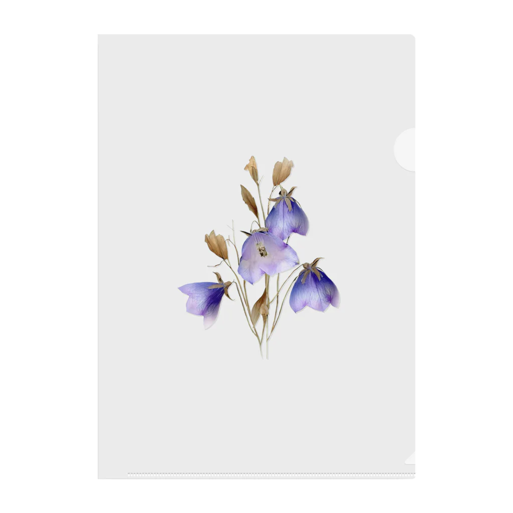 Atelier Petrichor Forestのキキョウ Chinese bellflower Clear File Folder