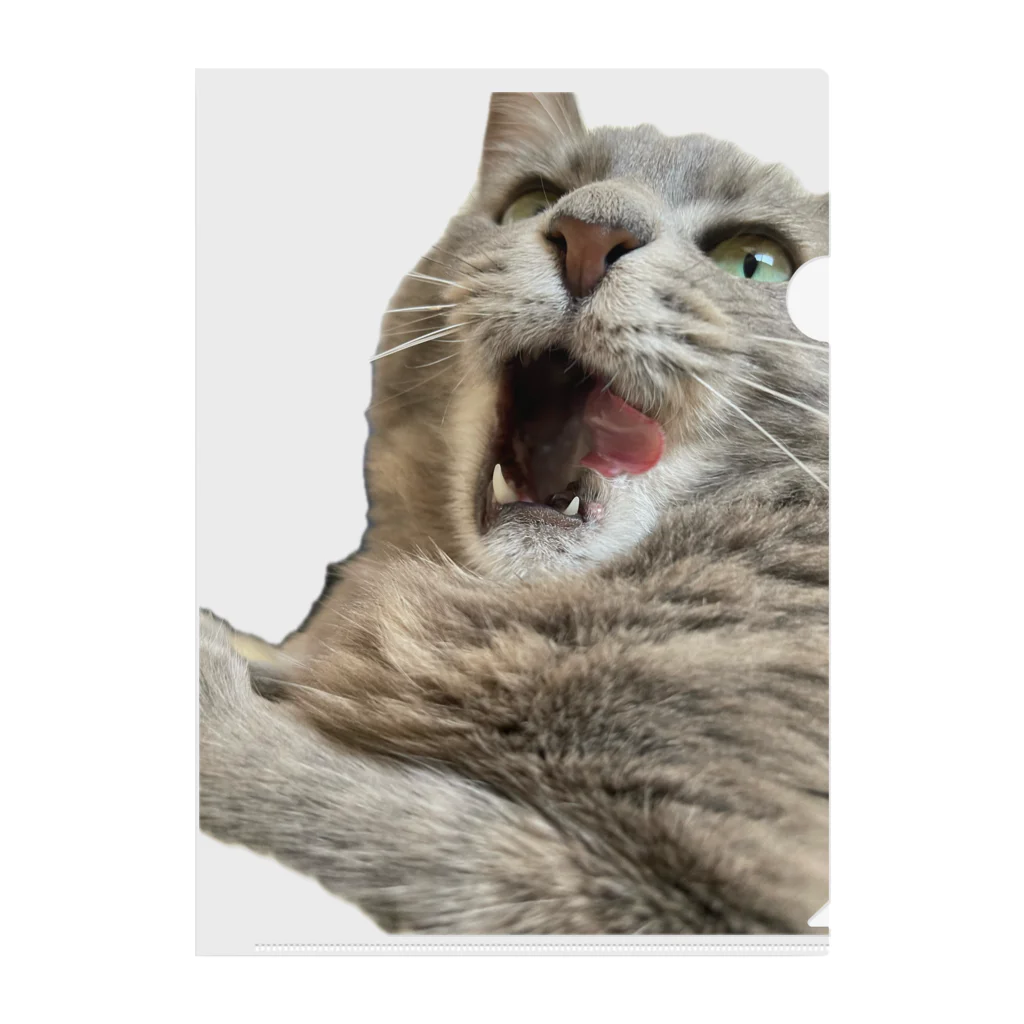 グレージュ猫ロッタン🐈‍⬛のあくびロッタン クリアファイル