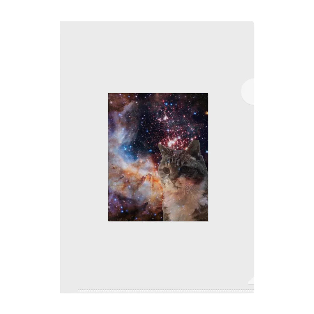 実家のうさぎの宇宙猫ミルク Clear File Folder