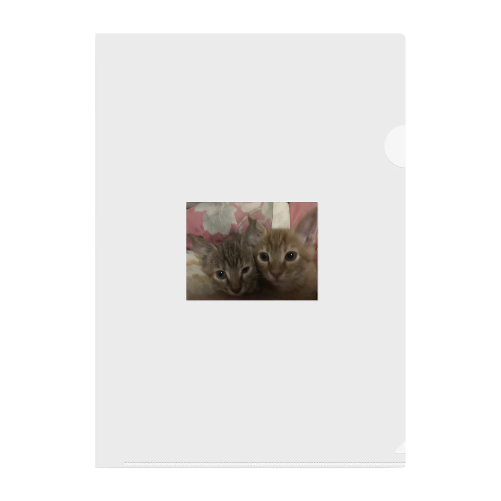 ANAROGUのふんわり猫 Clear File Folder